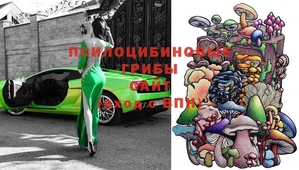 ECSTASY Яранск
