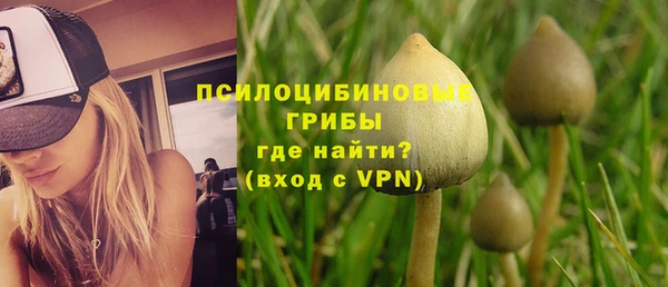 тгк Аркадак