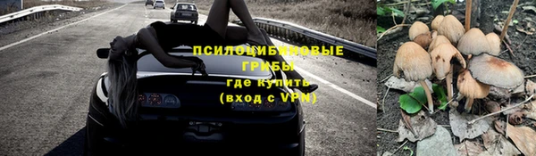 тгк Аркадак