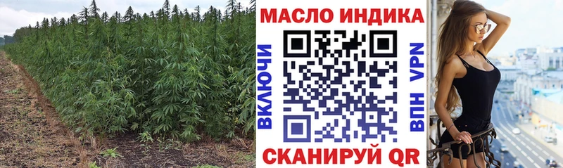 ТГК концентрат  Купить  Североморск 